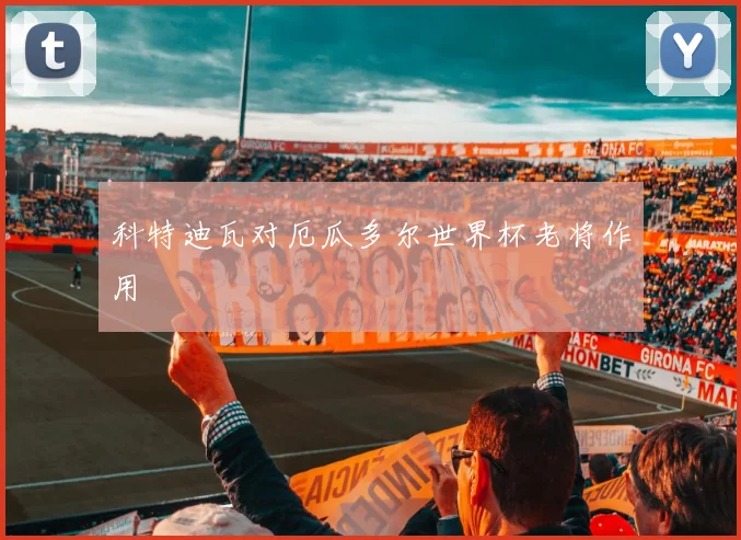 科特迪瓦对厄瓜多尔世界杯老将作用