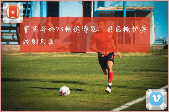 霍芬海姆vs帕德博恩:禁区掩护要控制尺度