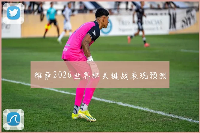 维萨2026世界杯关键战表现预测