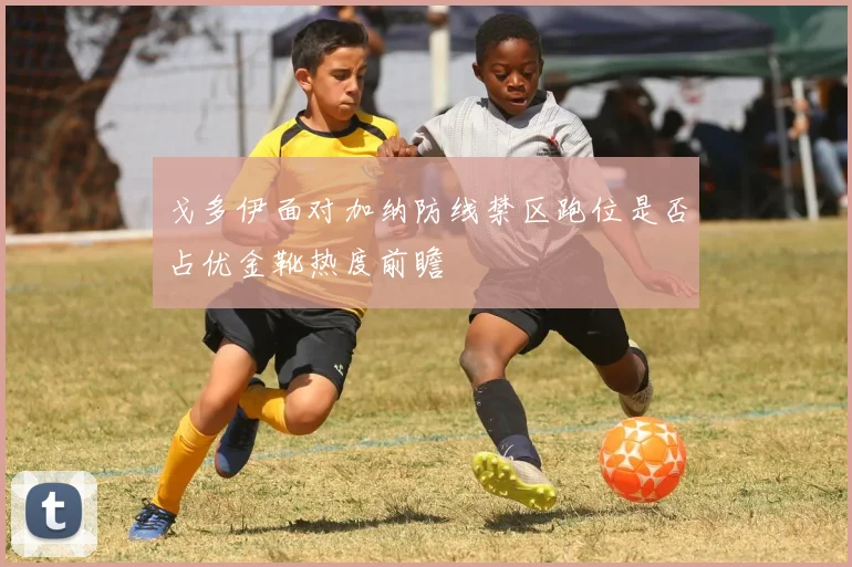 戈多伊面对加纳防线禁区跑位是否占优金靴热度前瞻