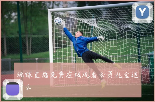 玩球直播免费在线观看会员礼金送什么