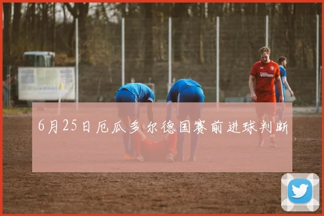 6月25日厄瓜多尔德国赛前进球判断